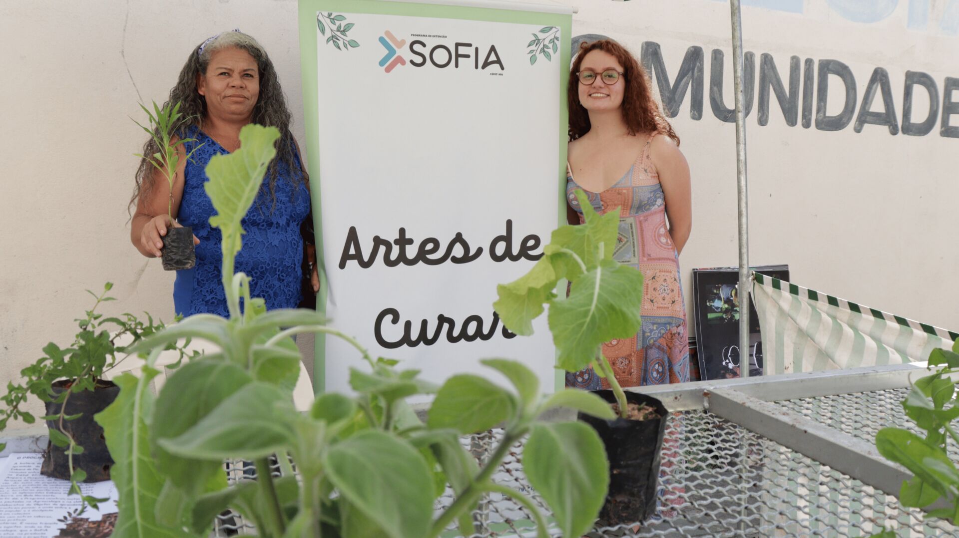 Artes de Curar, Rezar e Brincar - 1